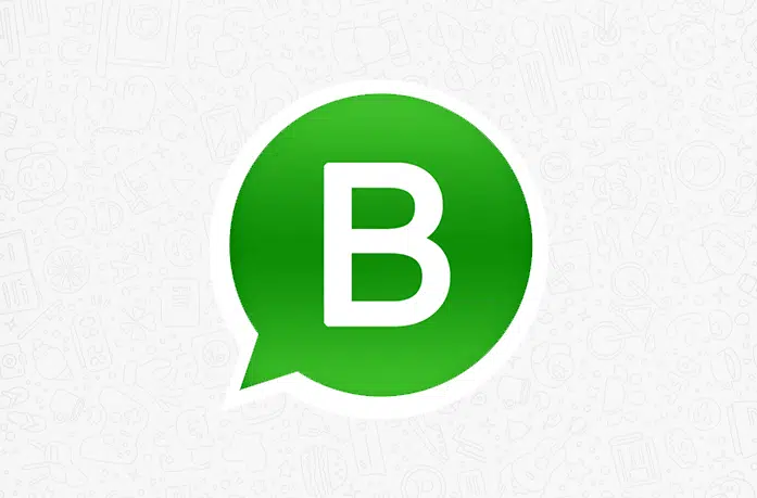 WhatsApp Business With Multiple Users
